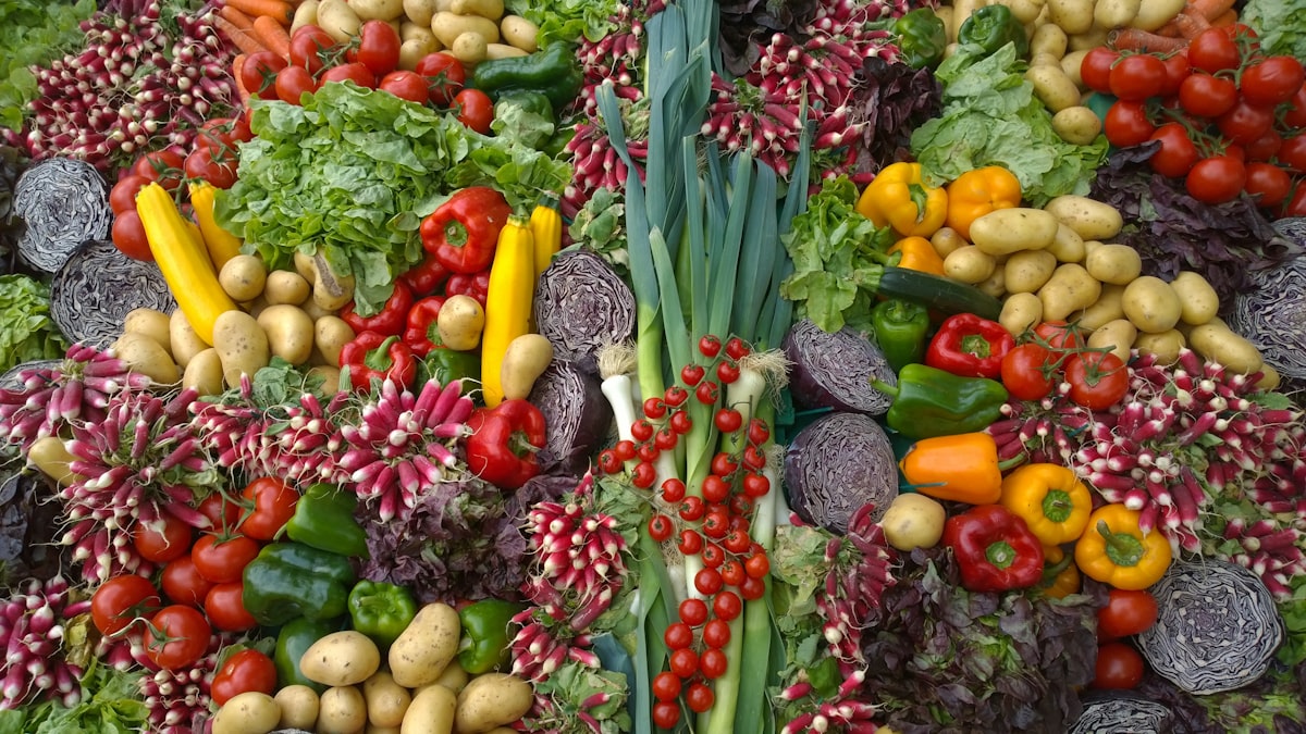 Nutritionist consultation with client
